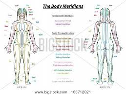 Meridian System Chart Vector Photo Free Trial Bigstock
