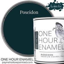 Poseidon One Hour Enamel Wise Owl Paint