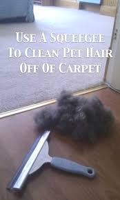 tip for removing pet hair from carpet