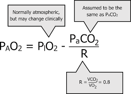 the alveolar gas equation and alveolar