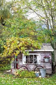 the rustic garden shed during fall