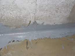 Basement Cellar Leak Repair