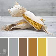 Maize Color Palette Pool Colors