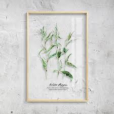 Charming Nature Inspired Wall Art