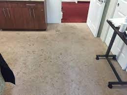 office and commercial carpet cleaning