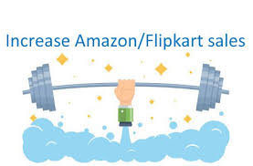Increase Flipkar / Amazon Sales