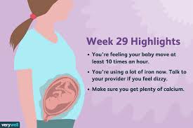 29 Weeks Pregnant Symptoms Baby Development And More
