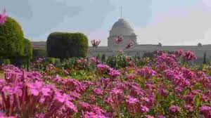 mughal gardens to open for public from