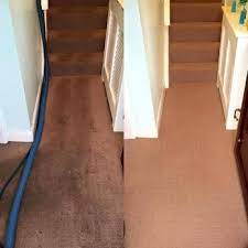 metro carpet cleaning solutions 15