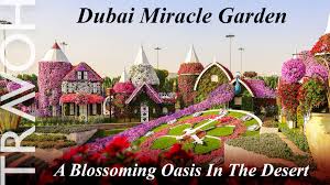 dubai miracle garden a blossoming