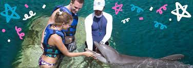 5 tips for swimming with dolphins for