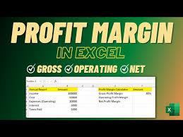 profit margin in excel calculate