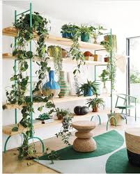 Houseplants Are The New Gallery Wall