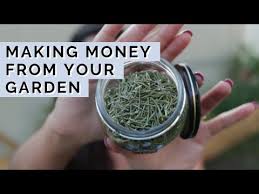 Ways I Make Money From My Garden 16