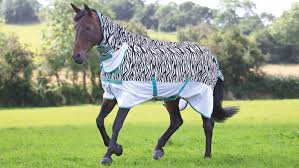 best fly rugs for horses find the best