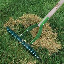 best dethatching rake to keep your lawn