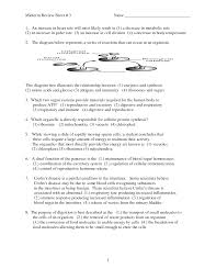 Photosynthesis uses the energy of sunlight to convert water and carbon dioxide into cellular respiration worksheet 1 1. Cellular Respiration Overview Worksheet Answers Printable Worksheets And Activities For Teachers Parents Tutors And Homeschool Families
