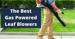 Choosing the best gas leaf blower can be a tough job, especially when you are looking for one that suits your budget. Who Makes The Best Gas Powered Leaf Blower 2021 Reviews And Comparisons The Backyard Master