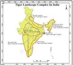 bengal tiger panthera tigris tigris