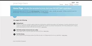 asp net mvc application with custom
