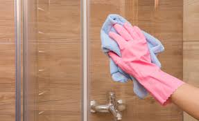 shower doors squeaky clean