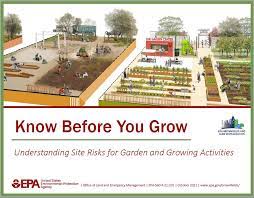 Steps To Creating A Community Garden Or