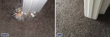 pet damaged carpet 321 222 9587 1