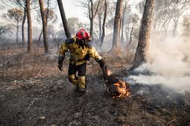 Un feu de forêt se déclare à Salernes, 3.000 mètres carrés de végétation  partent en fumée - Var-Matin