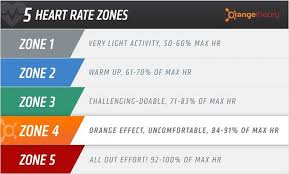 Does Orangetheory Fitness Work For Weight Loss And Muscle