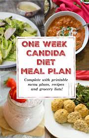 candida t meal plan natural tasty chef
