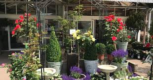 15 of the best garden centres in kent