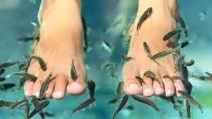 toenails fall off after fish pedicure
