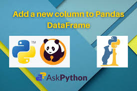 new column to pandas dataframe askpython