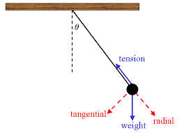 Pyl 105 Centripetal Acceleration