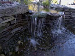 Diy pond filters are popular and are backyard pond and waterfall: 10 Things You Must Know About Ponds Diy