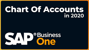 chart of accounts coa sap business