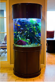 Corner aquariums are usually made from acrylic, although we . Moon View Three Quarter Cylinder Set Glass Aquariums Aqua Vim