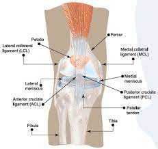 Pain in left leg at night can be due to concerns with the nerves, muscles, or blood vessels. Torn Acl Knee Injury Symptoms Causes Treatment Prevention