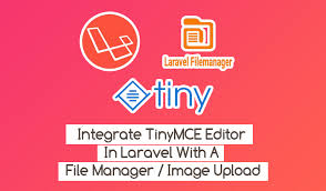 integrate tinymce editor in laravel