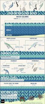 Bass Lure Selection Guide