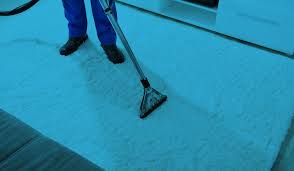 emergency carpet cleaning traverse city