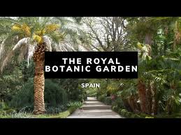 the royal botanic garden madrid