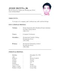 Resume Format For Applying Job Blaisewashere Com
