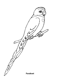These free, printable coloring pages of birds are hours of fun for kids. Picture Of A Parakeet Coloring Page Coloring Sun Coloring Pages Color Parakeet