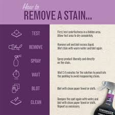stainmaster spray stain remover 28