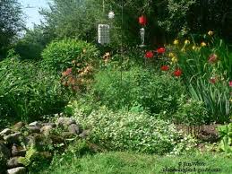 Hummingbird Garden Plans Creating A