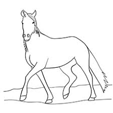 Coloring pages holidays nature worksheets color online kids games. Top 55 Free Printable Horse Coloring Pages Online