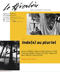 exhibition inde s au pluriel at