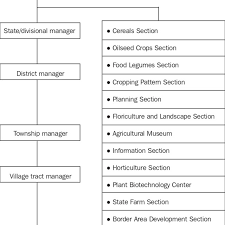 The Organizational Structure Of The Agricultural Extension