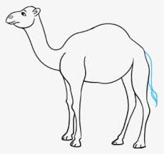 Learn how to draw a camel! How To Draw A Camel Simple Easy Camel Drawing Hd Png Download Kindpng
